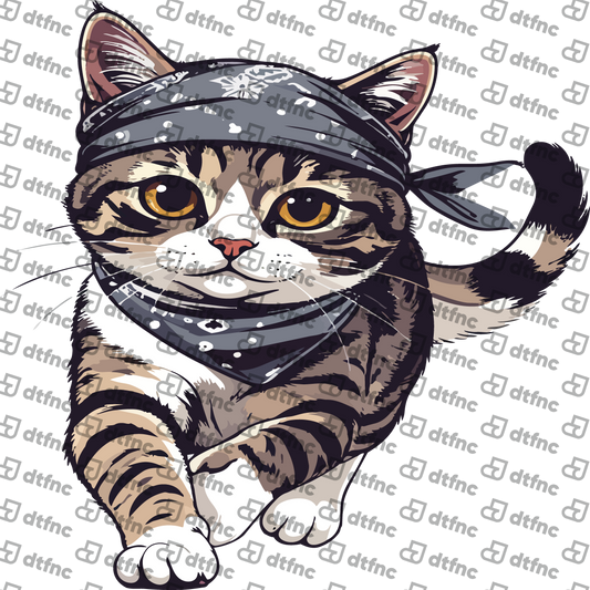 Animals - Bandana Adventure Cat