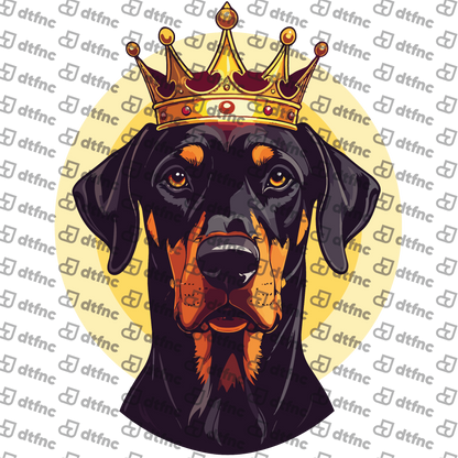 Animals - Royal King Doberman