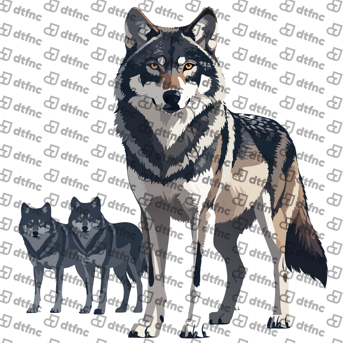 Animals - Majestic Alpha Wolf Pack