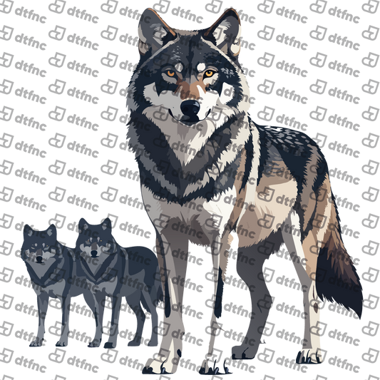 Animals - Majestic Alpha Wolf Pack