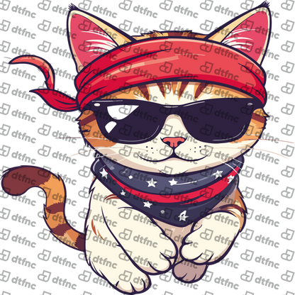 Animals - Cool Rebel Kitty