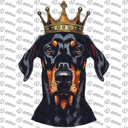 Animals - Imperial King Doberman