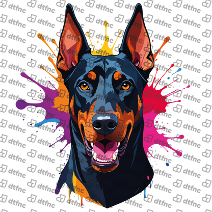 Animals - Pop-Art Splash Doberman