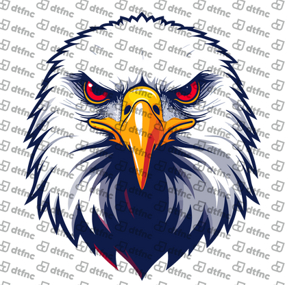4th of July - Fierce Bald Eagle
