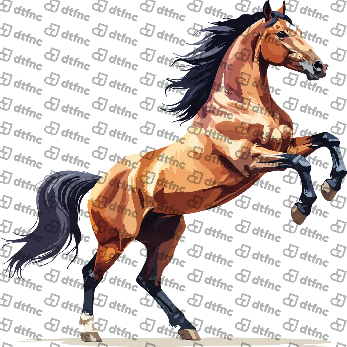 Animals - Majestic Rearing Stallion
