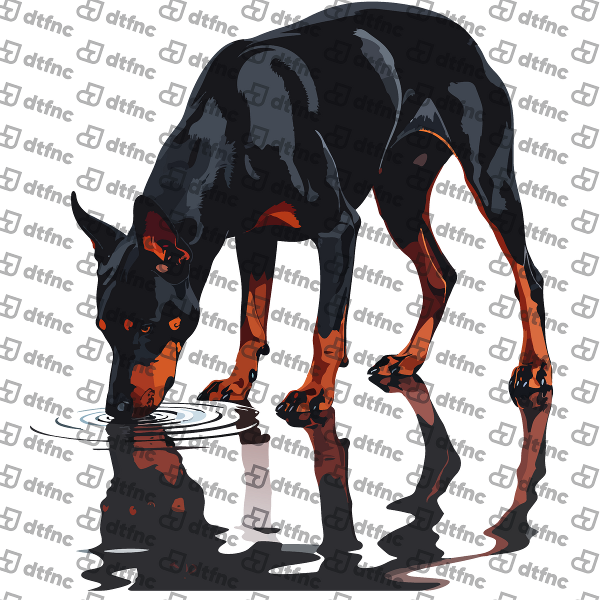 Animals - Reflective Puddle Doberman
