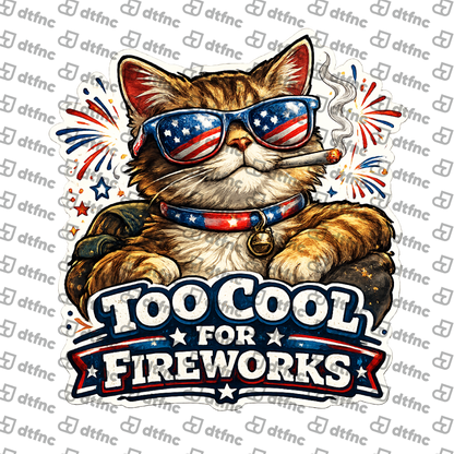4th of July - Too Cool for Fireworks