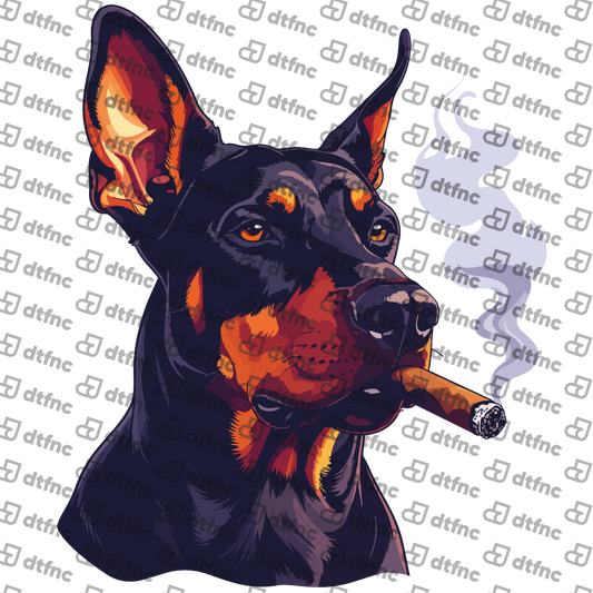 Animals - Boss Doberman