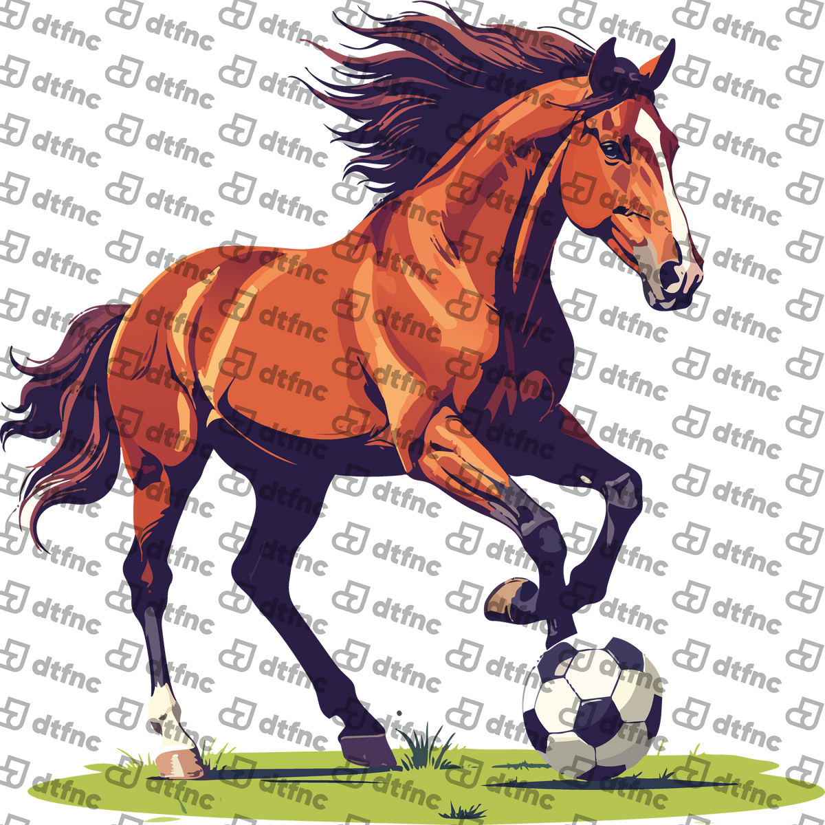 Animals - Soccer Stallion