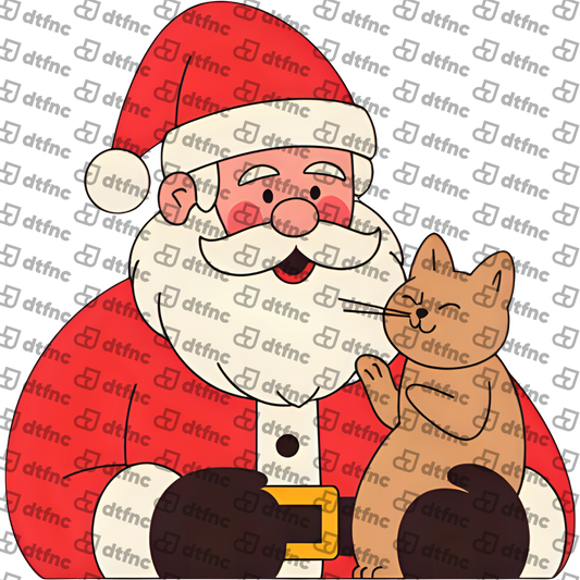 Christmas - Cute Santa Cat