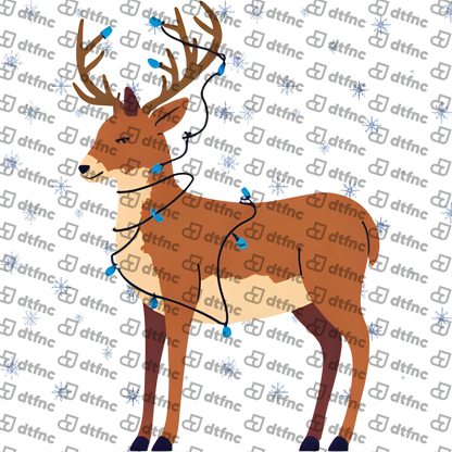 Christmas - Tangled Blue Lights Reindeer