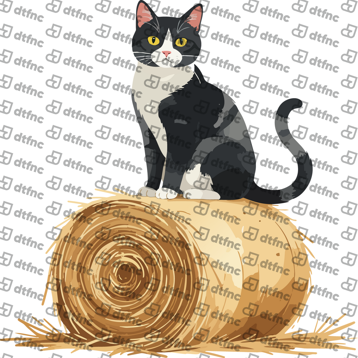 Animals - Barnyard Guardian Cat
