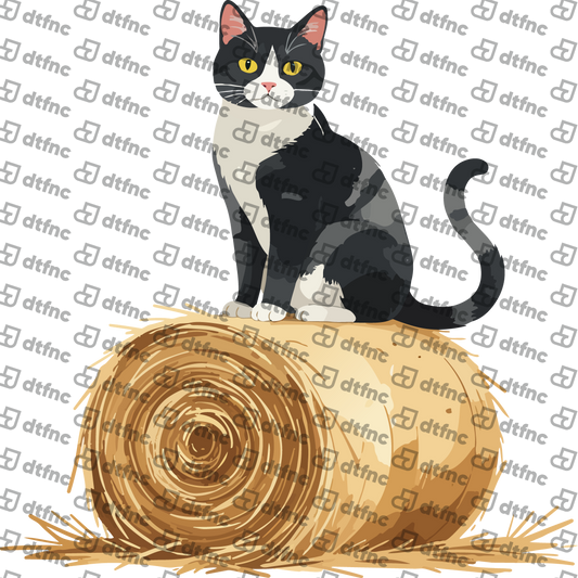 Animals - Barnyard Guardian Cat