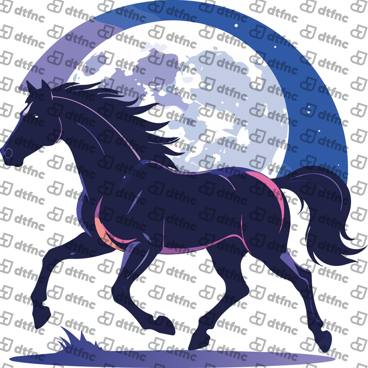 Animals - Moonlit Midnight Gallop