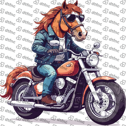 Animals - Rebel Rider Stallion