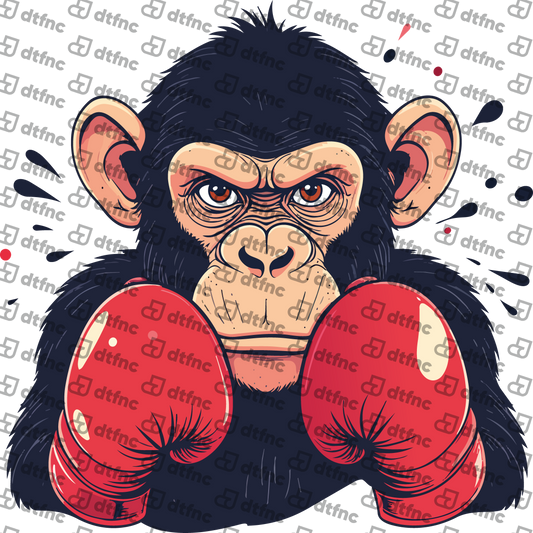 Animals - Boxing Chimpanzee