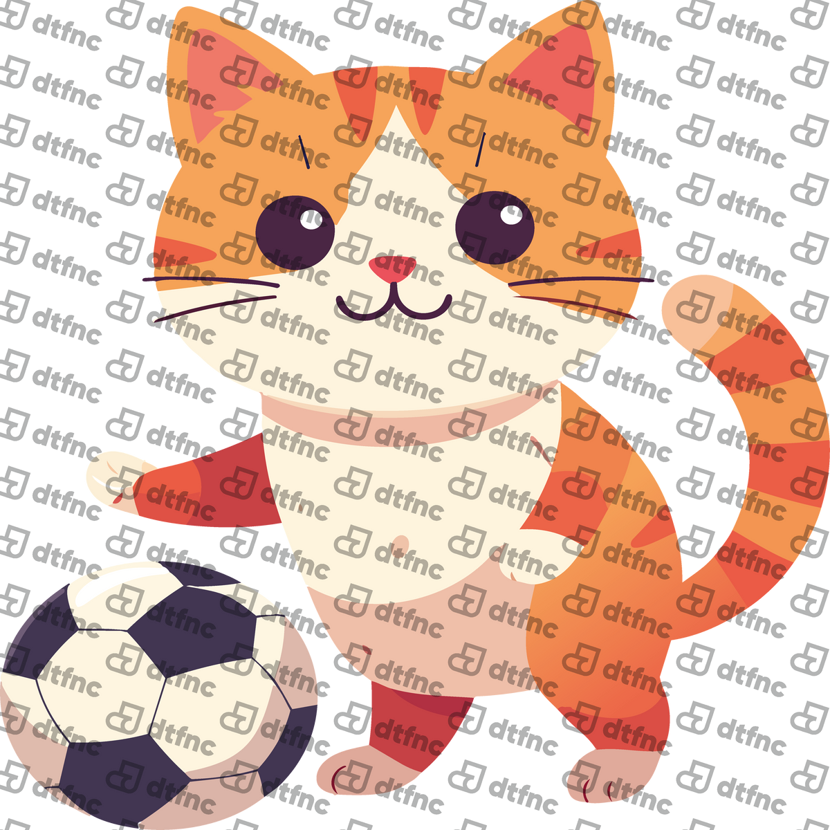 Animals - Playful Soccer Kitten