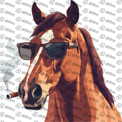 Animals - Shades of Stallion