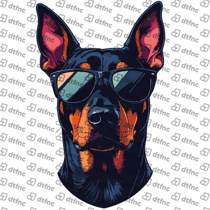 Animals - Retro Shades Boss Doberman