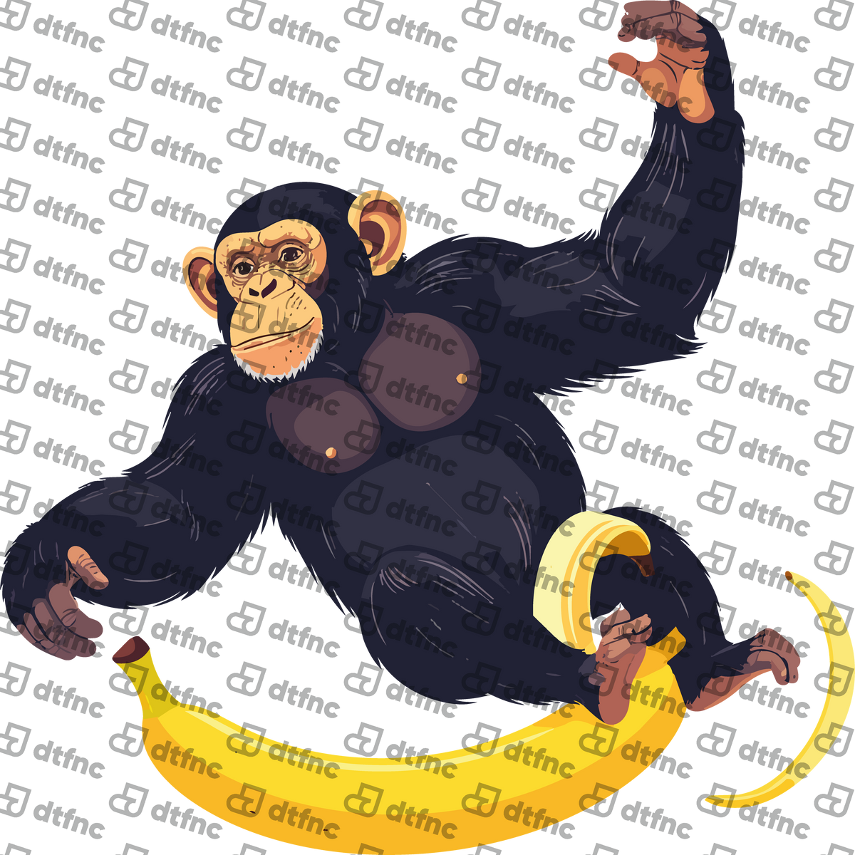 Animals - Chimpanzee on Banana