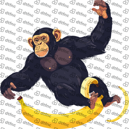 Animals - Chimpanzee on Banana