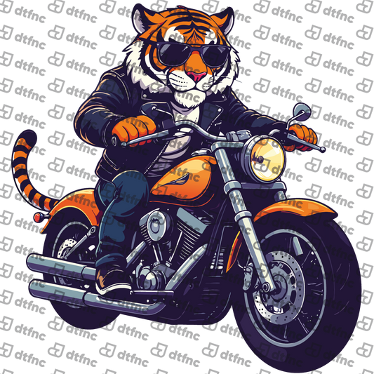 Animals - Rebel Rider Tiger