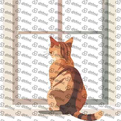 Animals - Midnight Window Cat