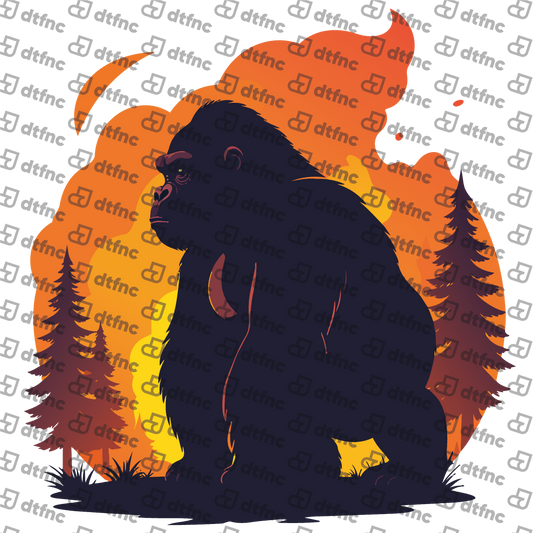 Animals - Fiery Sunset Gorilla