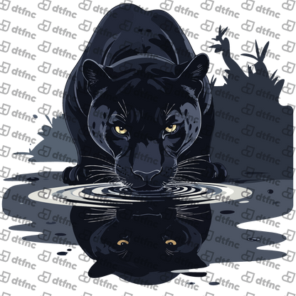 Animals - Midnight Panther Reflection