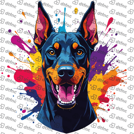 Animals - Colorful Splash Doberman