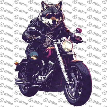 Animals - Rebel Rider Wolf