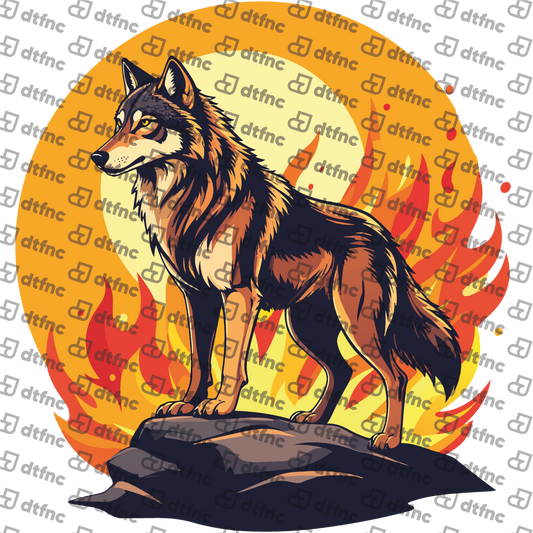 Animals - Blazing Sun Wolf