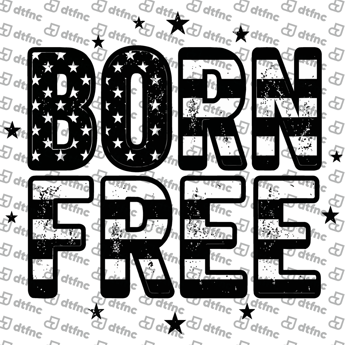 4th of July - Distressed Born Free Flag
