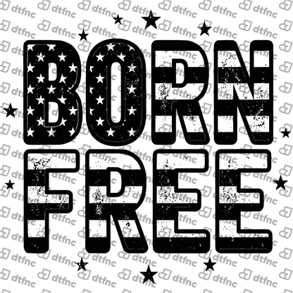4th of July - Distressed Born Free Flag