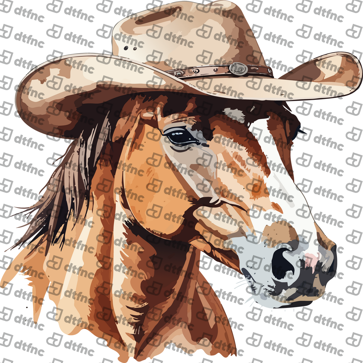 Animals - Cowboy Hat Horse Portrait