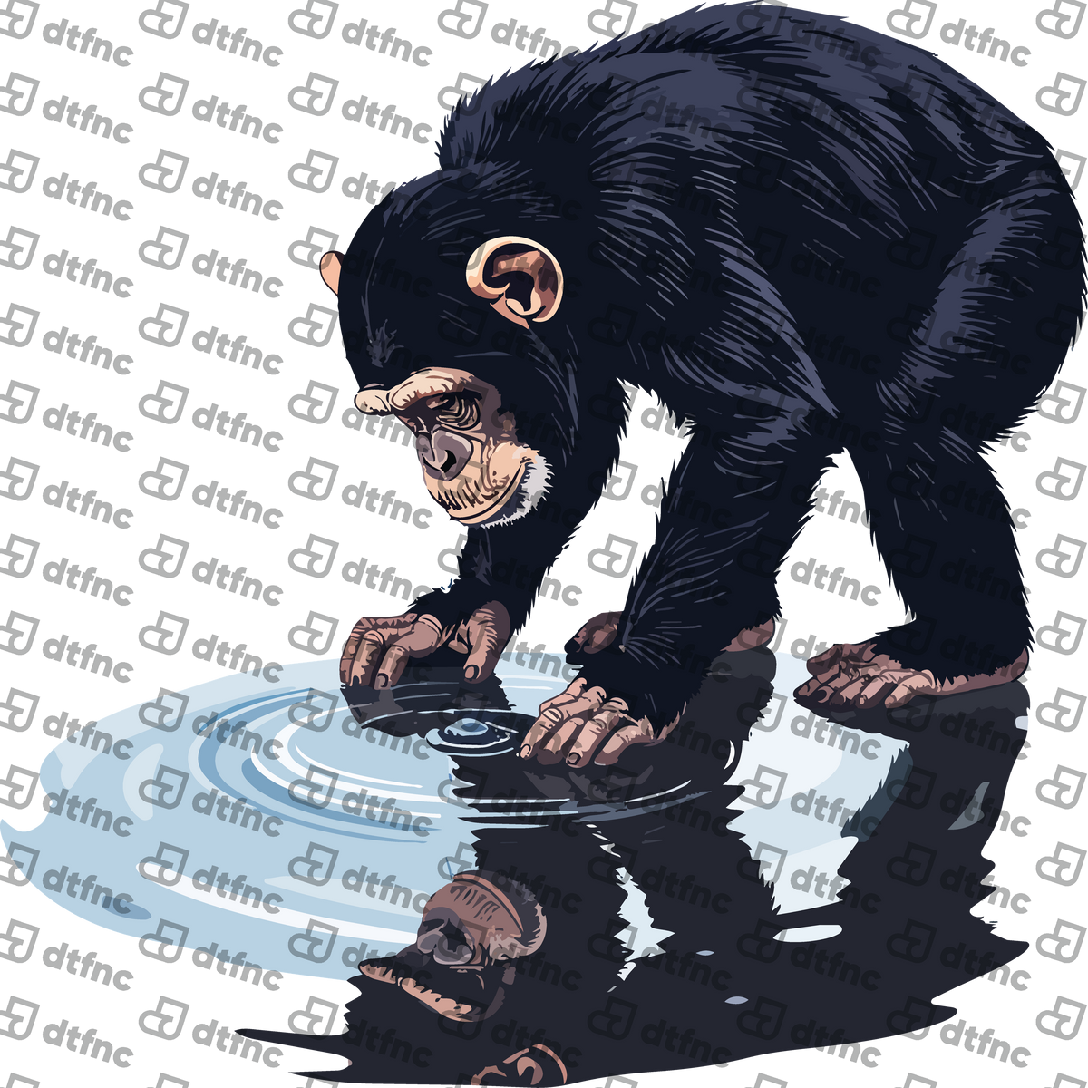 Animals - Thoughtful Chimpanzee Puddle Reflection