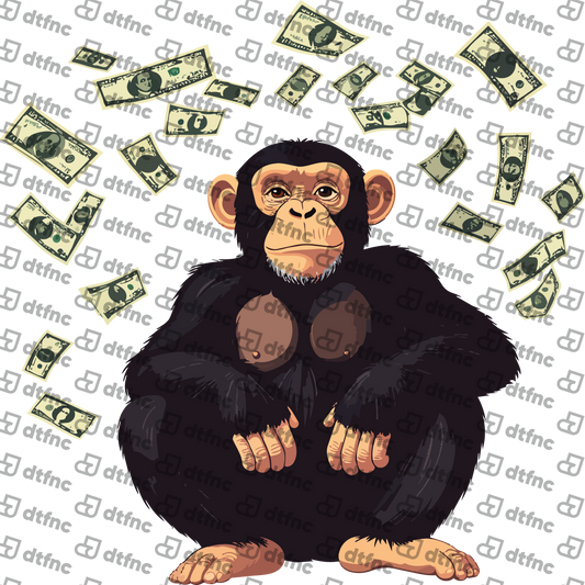 Animals - Money Rain Chimpanzee