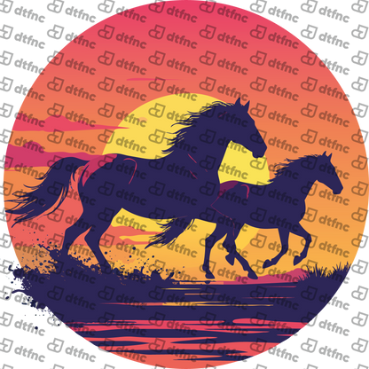 Animals - Sunset Freedom Run