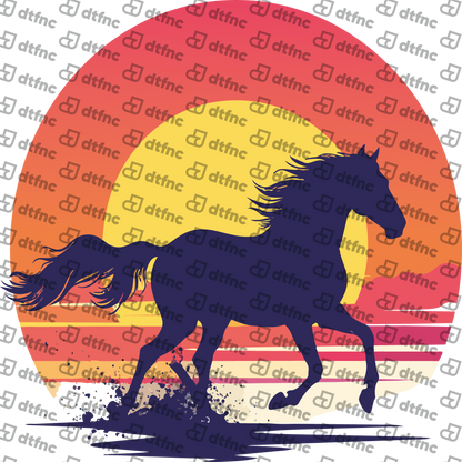 Animals - Sunset Spirit Stallion
