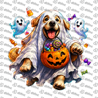 Halloween - Trick-or-Treat Ghost Pup