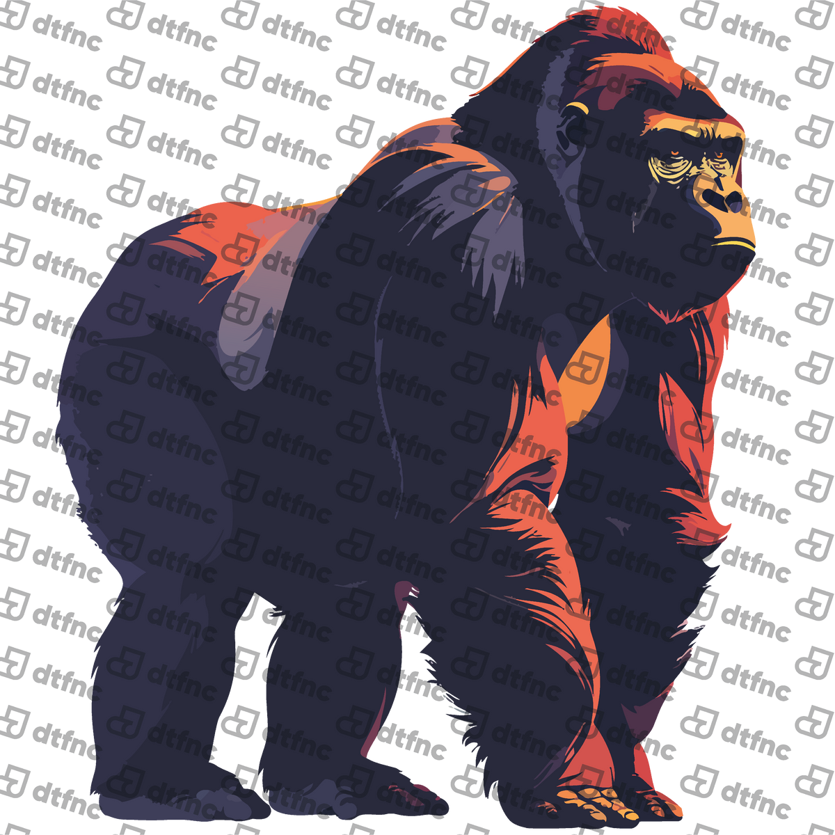 Animals - Sunlit Silverback Gorilla