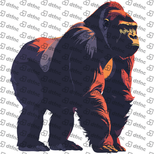 Animals - Sunlit Silverback Gorilla