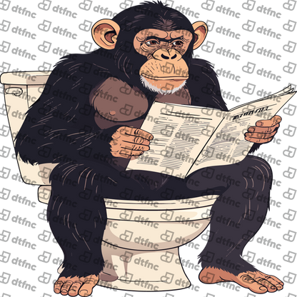Animals - Morning News Chimpanzee