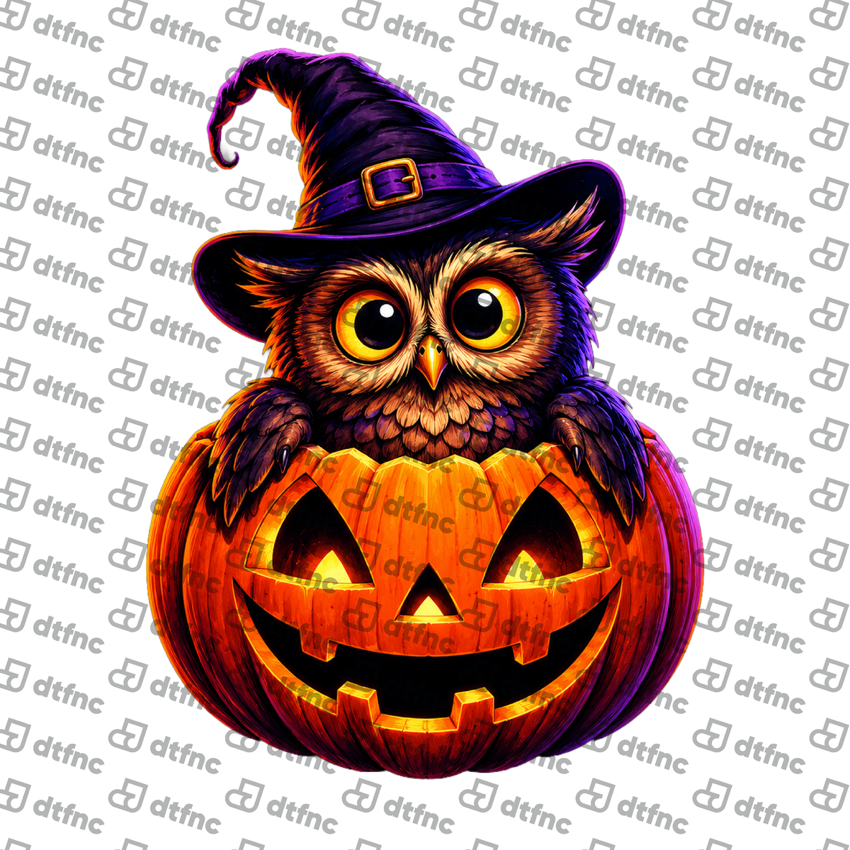 Halloween - Pumpkin Patch Witch Owl