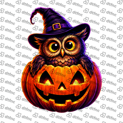 Halloween - Pumpkin Patch Witch Owl
