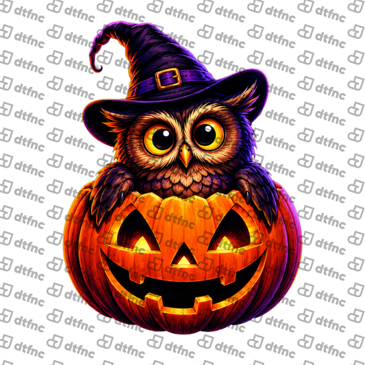 Halloween - Pumpkin Patch Witch Owl