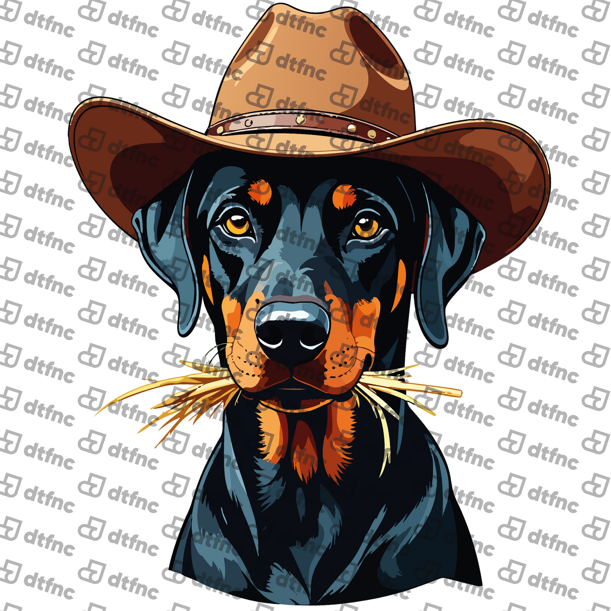 Animals - Country Cowboy Doberman